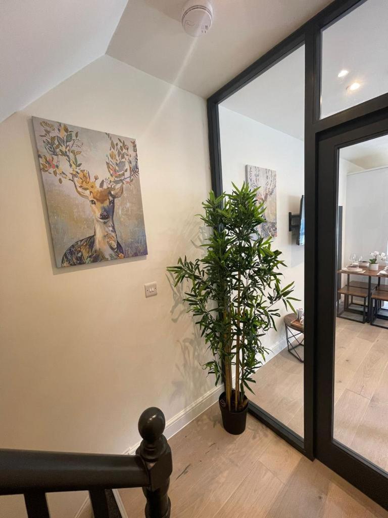Two Bedroom Apartment - London Eksteriør bilde